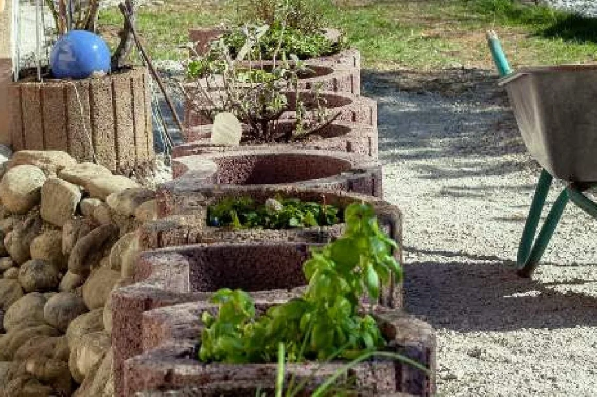 Kräuter in einem Hochbeet